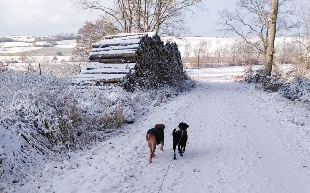 Newsletter Dezember 2025